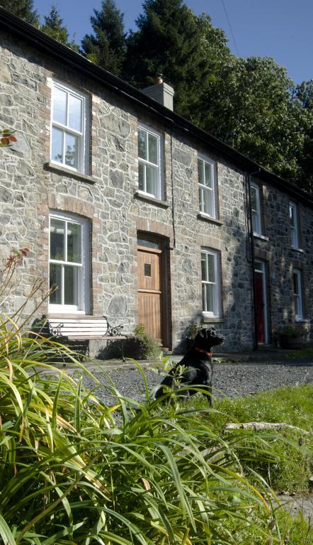 Bronfelin & Troed-Y-Rhiw Holiday Cottage Llanwrtyd Wells Eksteriør bilde